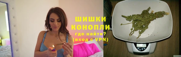 хмурый Ладушкин