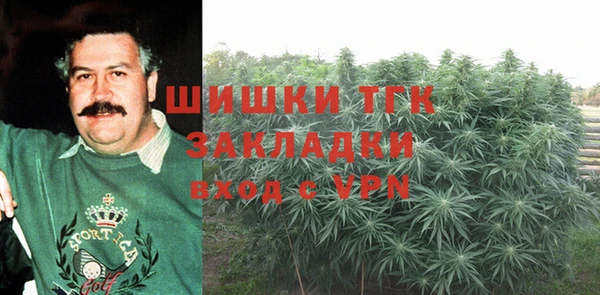 хмурый Ладушкин