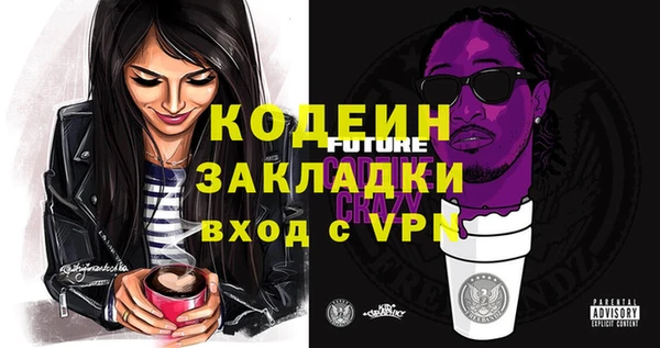 хмурый Ладушкин