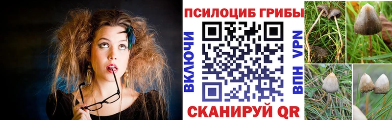Купить  Кушва  Псилоцибиновые грибы мицелий 